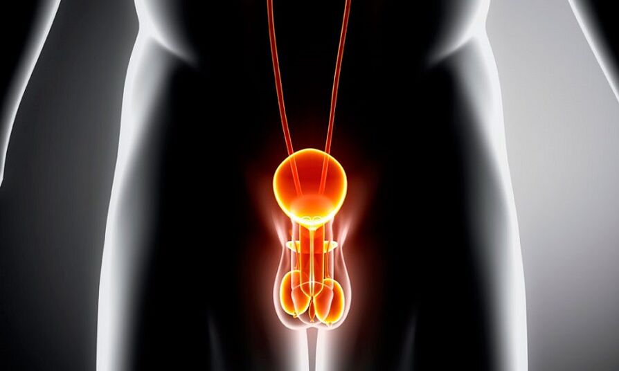 Napakyas nga genitourinary nga sistema alang sa prostatitis