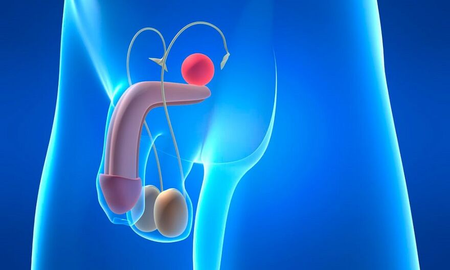 edema sa prostate nga adunay prostatitis